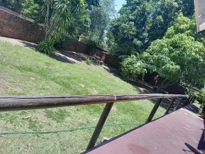 a view of a yard with a fence and trees at Butterfly tree guesthouse in Phalaborwa