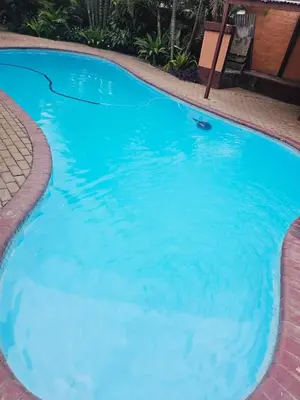 a large swimming pool with blue water at Butterfly tree guesthouse in Phalaborwa
