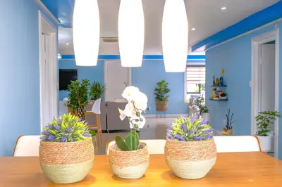 three plants in baskets sitting on a table at The Hemingway House 14 Resort Pool in Benoni