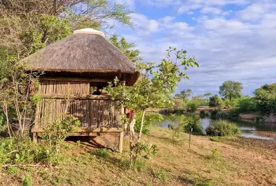 a hut with a thatched roof next to a river at Stella Bush Villa in Hoedspruit
