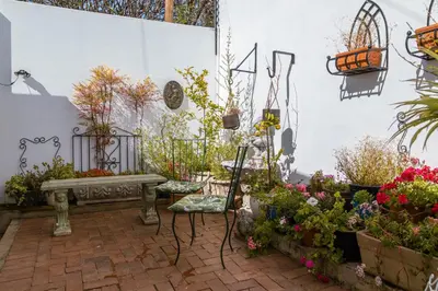 a garden with a bench and some flowers at Fig Tree in Pretoria