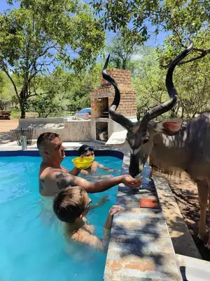 a man in a pool with a deer in the water at Woodlands on Korhaan 2926 in Marloth Park