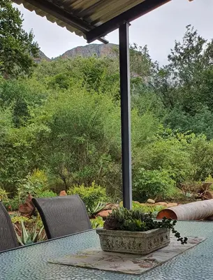 a table with a potted plant on top of it at The Bird House in Kampersrus AH