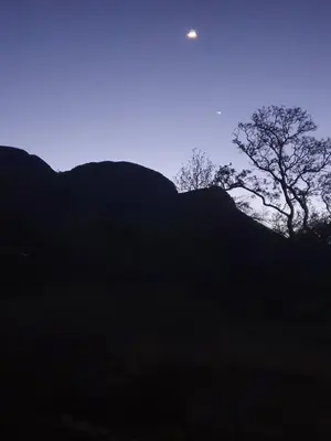 a silhouette of a tree and a mountain at The Bird House in Kampersrus AH