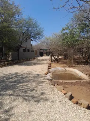 a pool of water in the middle of a yard at Kruger Bush Retreat in Marloth Park