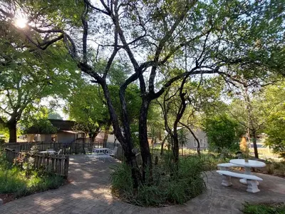 a picnic table and a tree in a park at @The Drakens Lodge in Hoedspruit