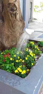 a garden with flowers and a water fountain at Mulala Luxury Guesthouse in Thohoyandou