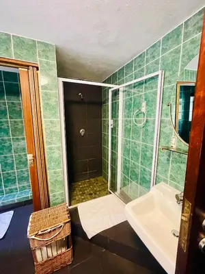 a bathroom with a shower and a sink at Pretoria Mansion Boutique Hotel Coral Tree in Pretoria