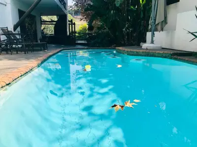 a person swimming in a swimming pool at Pretoria Mansion Boutique Hotel Coral Tree in Pretoria