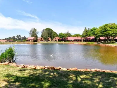 a large lake with houses in the background at Critchley Hackle Lodge in Dullstroom