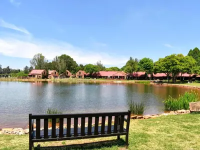 a park bench sitting in front of a lake at Critchley Hackle Lodge in Dullstroom