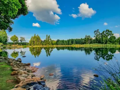 a view of a lake with trees in the background at Critchley Hackle Lodge in Dullstroom