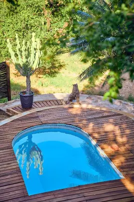 a blue swimming pool on a wooden deck with a cactus at Parsons River Camp in Balule Game Reserve