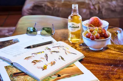 a book on a table with a bowl of fruit and a bottle of alcohol at Parsons River Camp in Balule Game Reserve