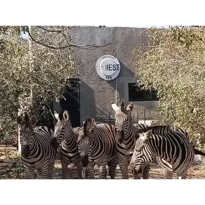 The Nest - Marloth Park