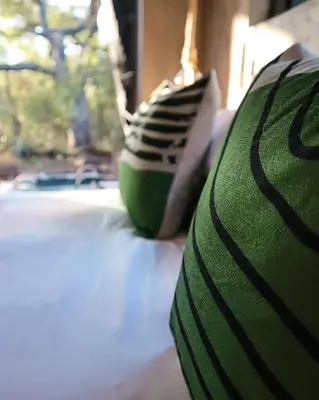 a close up of a green and white tooth brush at Shongololo Bush Villa in Marloth Park