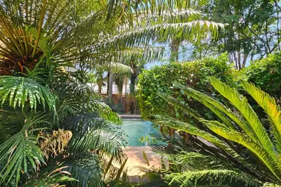 a swimming pool in a garden with palm trees at Grobler's Haven in Pretoria