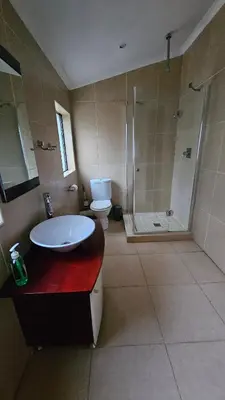 a bathroom with a sink and a shower and a toilet at Grobler's Haven in Pretoria