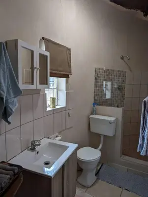 a small bathroom with a toilet and a sink at Wild Fig Accommodation in Tzaneen