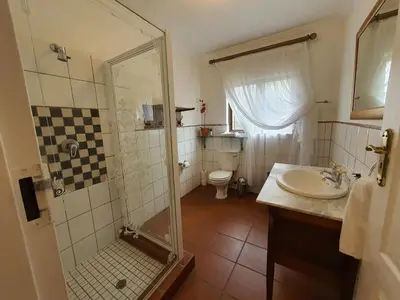 a bathroom with a shower and a sink and a toilet at Waterhouse Guest Lodge - Indus Street in Pretoria
