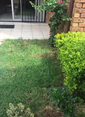 a yard with green grass and bushes in front of a door at White Rose Cozy Apartment in Midrand
