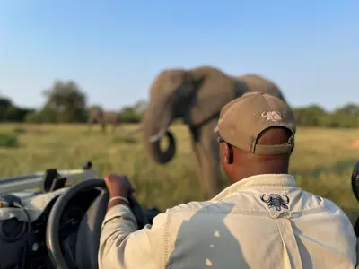 a man driving a car with an elephant in the background at Inyati Game Lodge in Sabi Sand Game Reserve