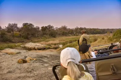 a group of people on a bus looking at animals in a river at Inyati Game Lodge in Sabi Sand Game Reserve