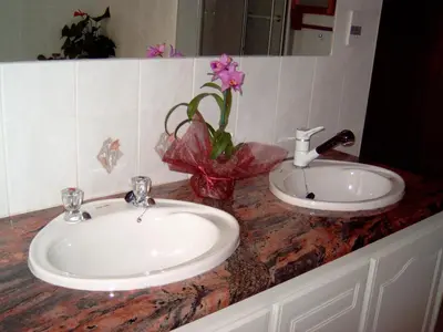 a bathroom counter with a sink and a vase of flowers at Bay Tree Guest House in Pretoria