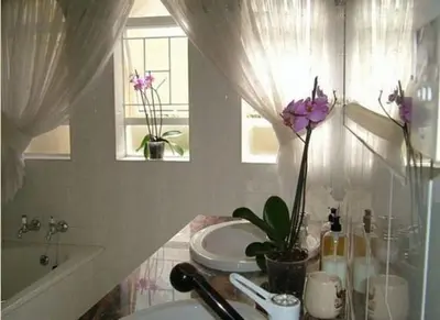 a bathroom with a sink and a toilet and a window at Bay Tree Guest House in Pretoria