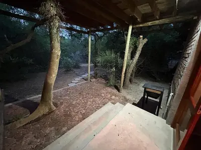 an outside view of a patio with a tree at Tree Symphony in Marloth Park