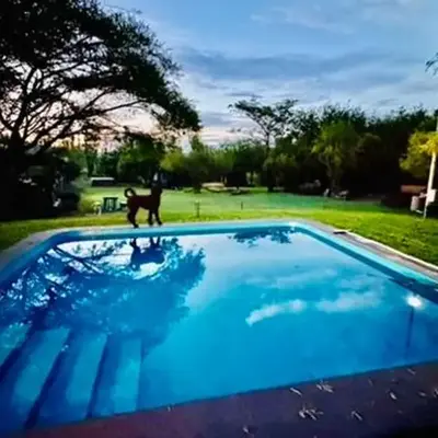 Rockey Mountain Bush lodge