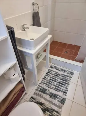 a bathroom with a sink and a toilet and a rug at Cottage by the Woods in Pretoria