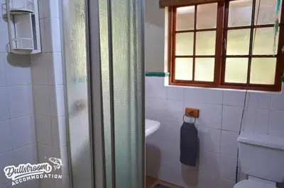 a bathroom with a shower and a toilet and a window at Forest Vista in Dullstroom