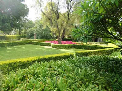 a garden with green hedges and pink flowers at Rose and Ivy Cottages in Louis Trichardt