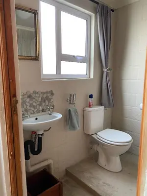 a bathroom with a toilet and a sink and a window at The Bed in the Shed in Alkmaar