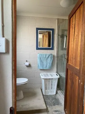 a bathroom with a toilet and a mirror at The Bed in the Shed in Alkmaar