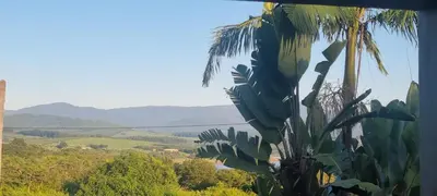 a palm tree with a view of the mountains at View on 83 in Tzaneen