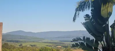 a view of auliculiculiculiculiculiculiculiculiculiculiculic at View on 83 in Tzaneen
