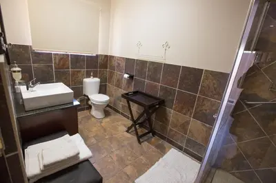 a bathroom with a toilet and a sink and a shower at MacGregors Guest House in Pretoria