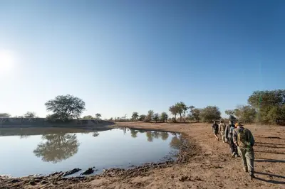 Gallery image of Africa on Foot in Klaserie Private Nature Reserve