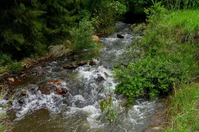 a stream of water with rocks in the middle at The Good Host in Waterval-Onder