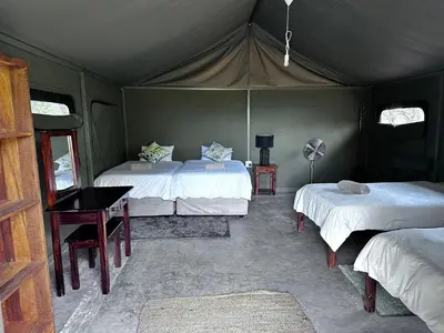 a tent bedroom with two beds and a desk at Rockfig Tented Camp in Assen
