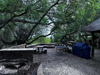 a patio with a table and chairs under a tree at Rockfig Tented Camp in Assen