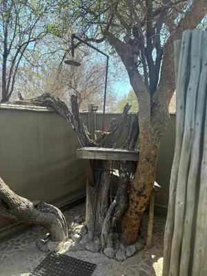 a wooden bench sitting next to a tree at Rockfig Tented Camp in Assen