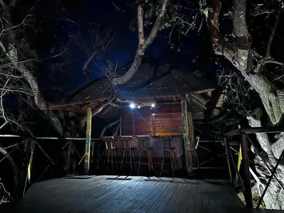 a hut with chairs and a tree at night at Rockfig Tented Camp in Assen