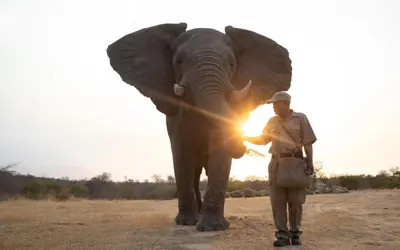 a man standing in front of an elephant at Jabulani Safari Relais & Chateaux in Kapama Private Game Reserve