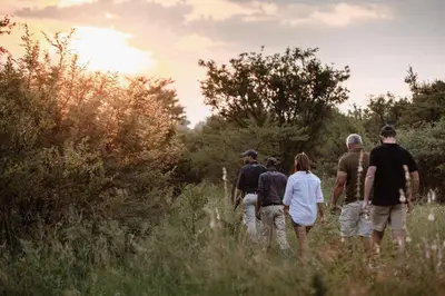 a group of people walking through a field at Jabulani Safari Relais & Chateaux in Kapama Private Game Reserve