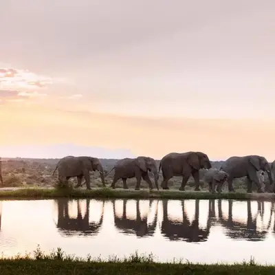 Jabulani Safari Relais & Chateaux