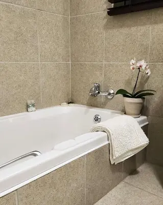 a bathroom with a bath tub with a potted plant at Waterlily Cove Guesthouse in Pretoria