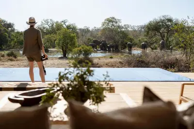 a man standing on a deck with elephants in the background at Monwana in Thornybush Game Reserve